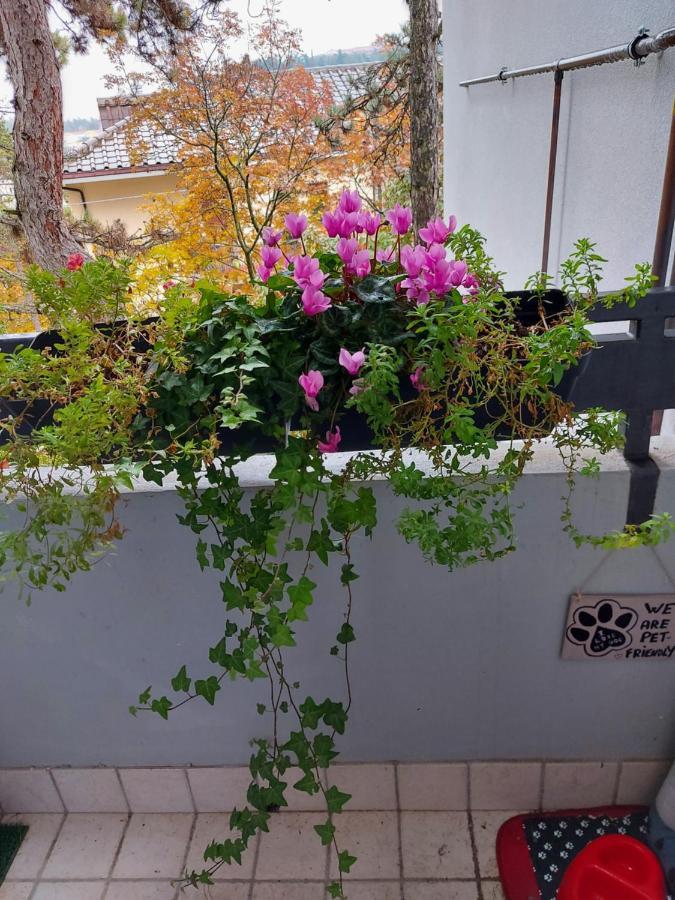La Pineta - Delightful Small Apartment Near The City Center L'Aquila Exterior photo